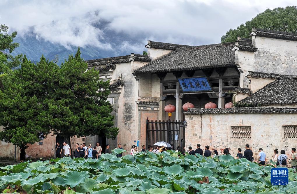 波克城市下载